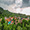 ISTANBUL & GREEN BURSA TOUR